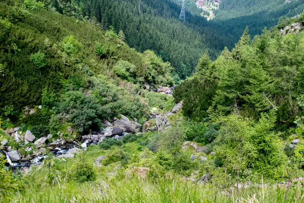 Arkasında orman olan güzel bir dağ manzarası.
