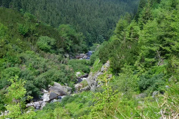 Doğanın güzel manzarası