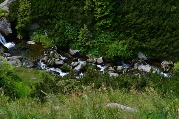 Yaz gününde dağ deresi