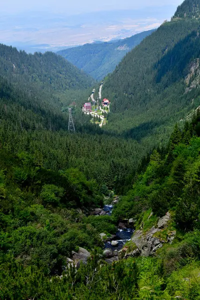 Yeşil ormanlı güzel bir dağ manzarası
