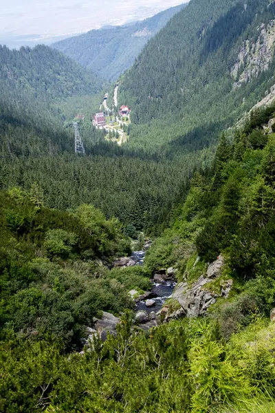 Ormandaki dağlarla güzel bir manzara.