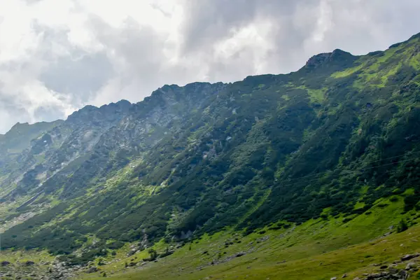 Yaz mevsiminde Karpat Dağlarının güzel manzarası