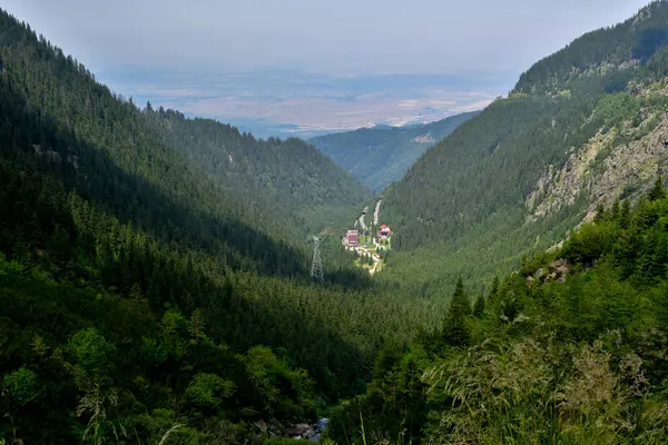 Doğanın güzel manzarası