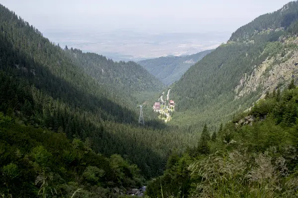 Bir dağ yolu görünümünü