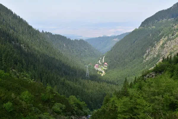 Ukrayna Karpat Ormanı 'nın dağ sırası.