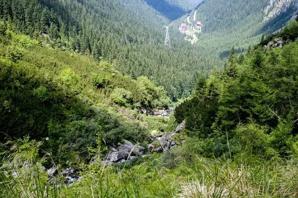 Ormanlı güzel bir dağ manzarası.