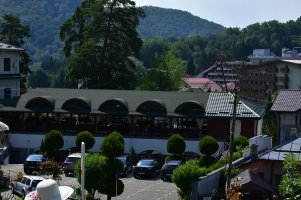 Küçük bir köyün arka planında ağaçlar olan bir sokağın dikey görüntüsü.