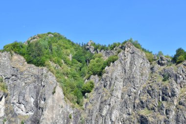 Ormandaki dağın güzel manzarası.