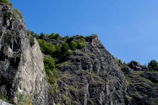 bir ağaç ile güzel dağ manzara