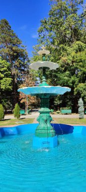 Parkın güzel manzarası