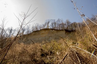 Güzel bir manzara Ağacı ve mavi gökyüzü