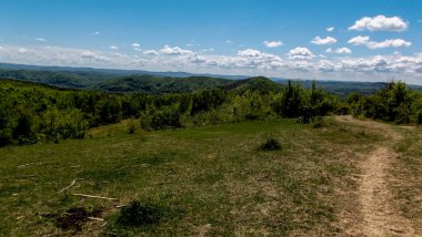 a beautiful landscape of a forest road in a green field