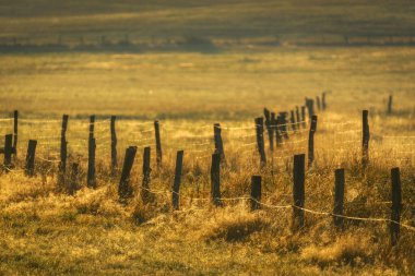 RURAL LANDSCAPE - Güneşli, serin bir sabahta çitin üzerindeki eski bir çit