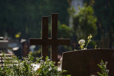 CEMETERY - Tombstones at burial site of the dead