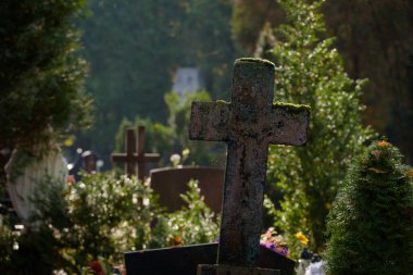 CEMETERY - Tombstones at burial site of the dead
