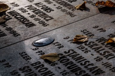 KOLOBRZEG, WEST POMERANIAN - POLAND - 2022: WAR GRAVES - Tombstones of soldiers killed in the Battle of Kolobrzeg in World War II