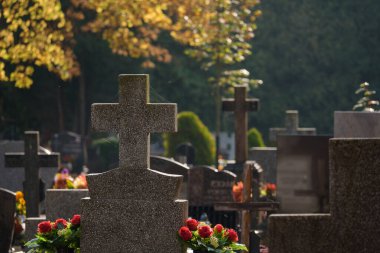CEMETERY - Tombstones at burial site of the dead