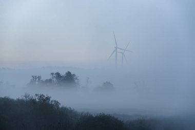 Nehir vadisinde sonbahar sabahı
