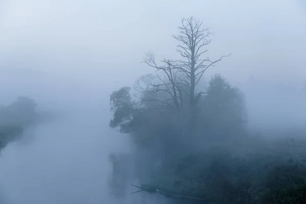Misty Landscape Manhã Outono Vale Rio — Fotografia de Stock