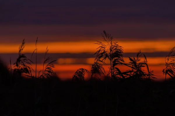 Sunrise Sunny Morning Landscape Meadows Pastures — Foto de Stock