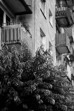 ARCHITECTURE - Balkonlu büyük bir levhadan yapılmış çok ailelik bir konut binası