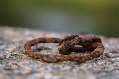 Pas - Duvarda paslı eski metal elementler