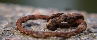 Pas - Duvarda paslı eski metal elementler