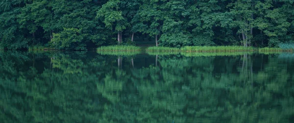 LANDSCAPE BY THE LAKE - Mirror reflection in the water of a deciduous forest growing on the shore