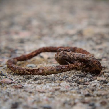 Pas - Duvarda paslı eski metal elementler