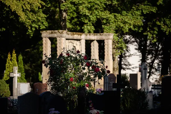 Cemeteria Fiori Lapidi Nel Luogo Sepoltura Dei Morti — Foto Stock