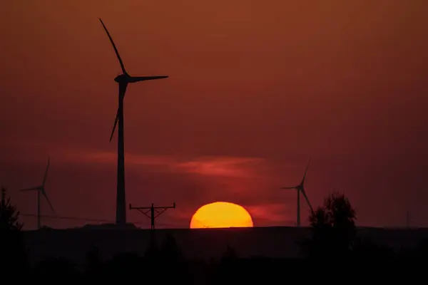 Wind Farm Sun Sunny Hot Morning Renewable Energy Sources — Stock Photo, Image