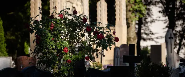 Cemetería Flores Lápidas Lugar Enterramiento Los Muertos —  Fotos de Stock