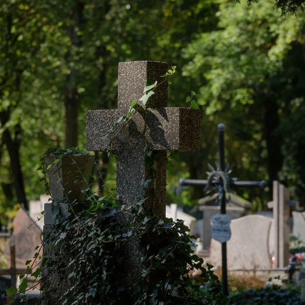 Cemetery Tombstones Burial Site Dead — Fotografia de Stock