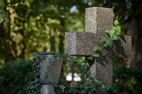Cemetery 死者埋葬地点的墓碑 — 图库照片