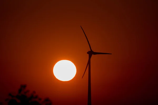 风电场和太阳能 一个阳光明媚 炎热的早晨和可再生能源 — 图库照片