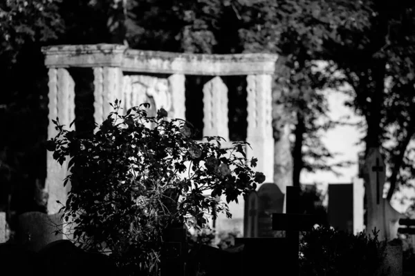 Cemetery Blommor Och Gravstenar Vid Begravningsplatsen För Döda — Stockfoto
