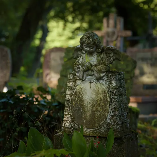 Cemetery Tombstones Burial Site Dead — стоковое фото