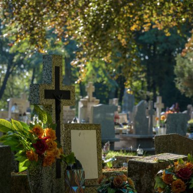 CEMETERY - Tombstones at burial site of the dead