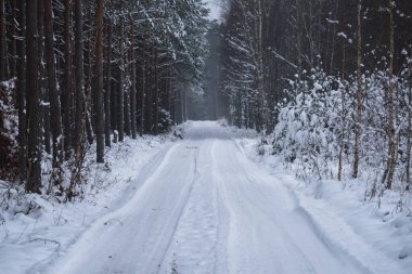 KışKışSaldırısı - Ağaçlarda ve orman yolunda kar yağışıweather forecast