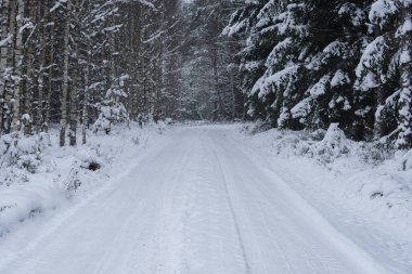 KışKışSaldırısı - Ağaçlarda ve orman yolunda kar yağışıweather forecast