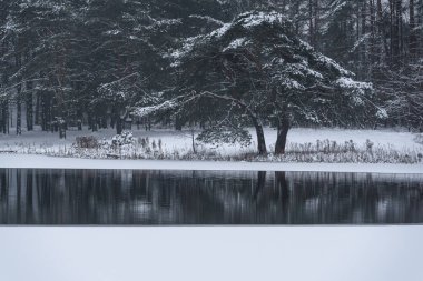 Kış Saldırısı - Donmuş bir göl ve kıyılarda karla kaplı ağaçlar
