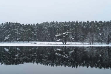 Kış Saldırısı - Donmuş bir göl ve kıyılarda karla kaplı ağaçlar