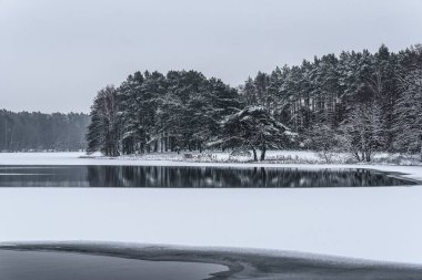 Kış Saldırısı - Donmuş bir göl ve kıyılarda karla kaplı ağaçlar