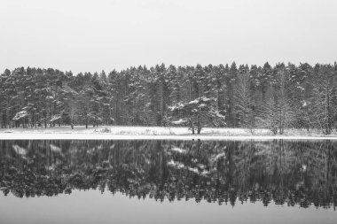 Kış Saldırısı - Donmuş bir göl ve kıyılarda karla kaplı ağaçlar