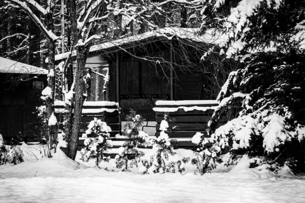 WINTER ATTACK - Summer house in a snow covered forest recreation center