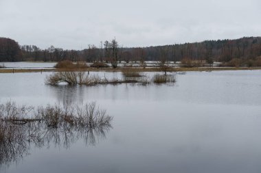 FLOOD - Yağmurdan sonra taşan nehir vadisi ve çayırlar