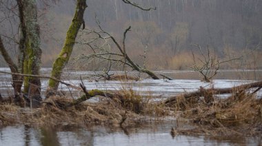 FLOOD - Yağmurdan sonra taşan nehir vadisi ve çayırlar
