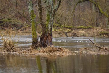 FLOOD - Yağmurdan sonra taşan nehir vadisi ve çayırlar