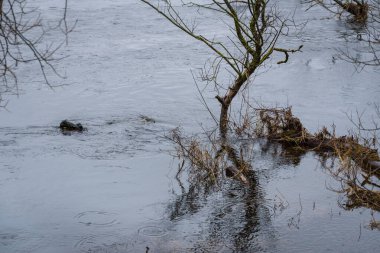 FLOOD - Yağmurdan sonra taşan nehir vadisi ve çayırlar