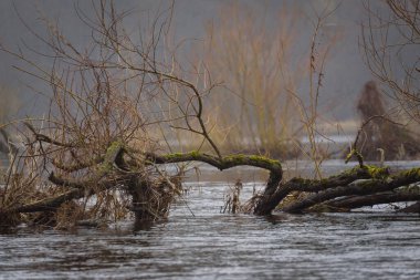 FLOOD - Yağmurdan sonra taşan nehir vadisi ve çayırlar